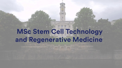 Thumbnail for MSc Stem Cell Technology and Regenerative Medicine