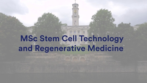 Thumbnail for entry MSc Stem Cell Technology and Regenerative Medicine