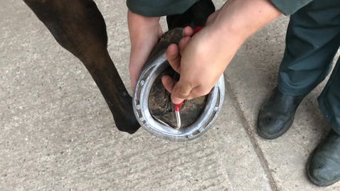 Thumbnail for Picking out the feet