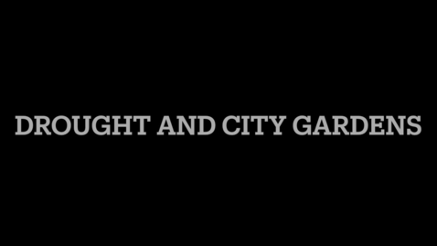 Thumbnail for entry Drought and city gardens