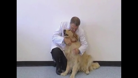 Thumbnail for Restraining a large dog