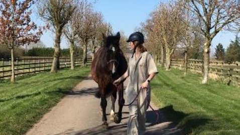 Thumbnail for Clinical examination in the horse: Lameness exam