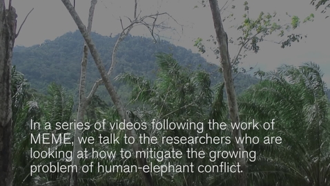 Thumbnail for entry Monitoring human-elephant conflict in Malaysia
