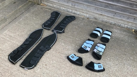 Thumbnail for Types of horse boot