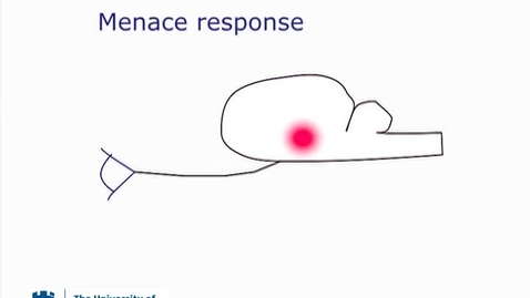 Thumbnail for Menace pathways