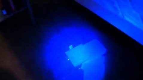 Thumbnail for Finding cat urine with a black light