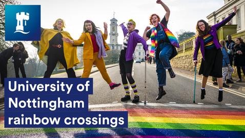 Thumbnail for University of Nottingham Rainbow Crossings 🌈