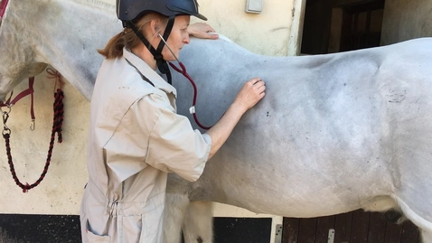 Thumbnail for Clinical examination in the horse: Cardiac and thoracic auscultation