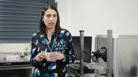Thumbnail for Discovering the next generation of research leaders through our fellowships