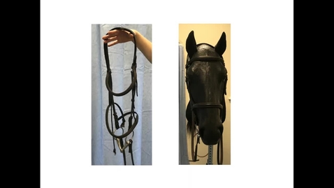 Thumbnail for Parts of a bridle