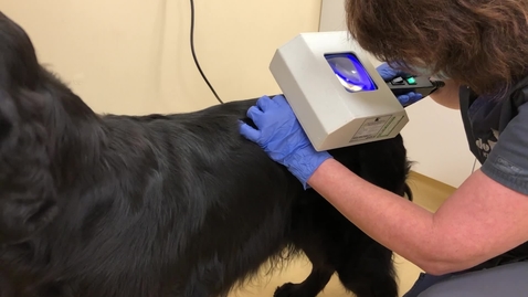 Thumbnail for Wood's lamp skin examination
