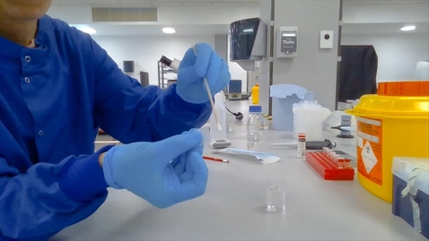 Thumbnail for Examination of a cheek cell sample