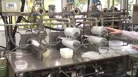 Thumbnail for Making use of low value palm oil products