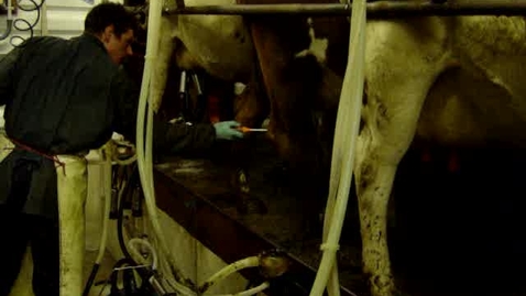 Thumbnail for entry Standard milking procedures: Spraying after cluster unit removal