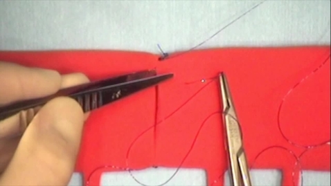 Thumbnail for Using a continuous suture to perform an end to end anastomosis of the bowel