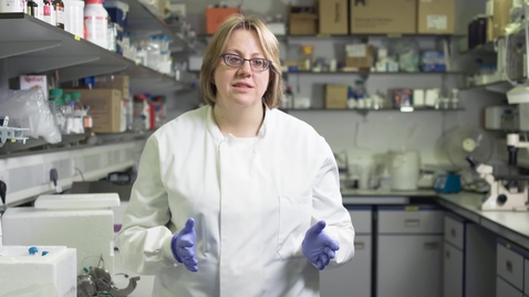 Thumbnail for Discovering a research platform through our fellowship schemes