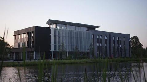 Thumbnail for What we do at the School of Contemporary Chinese Studies
