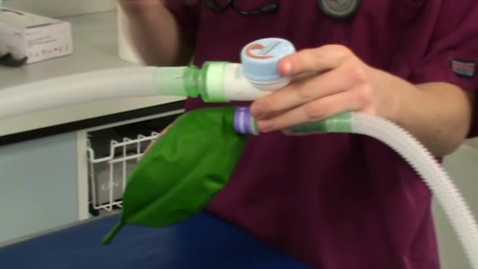Thumbnail for Testing for leaks in an anaesthetic T piece