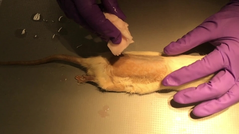 Thumbnail for Performing a surgical scrub of a surgical site