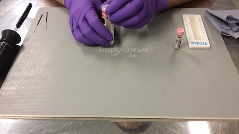 Thumbnail for Performing a packed cell volume and total plasma protein