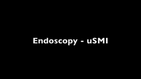 Thumbnail for Vaginourethrocystoscopy in the bitch