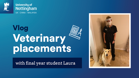 Thumbnail for Vlog - veterinary placements