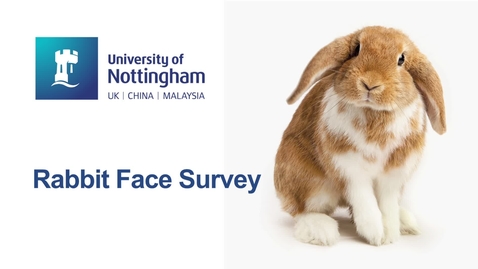 Thumbnail for Rabbit Face survey asks how cute are these bunnies?