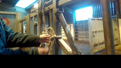 Thumbnail for Cattle quick release knot