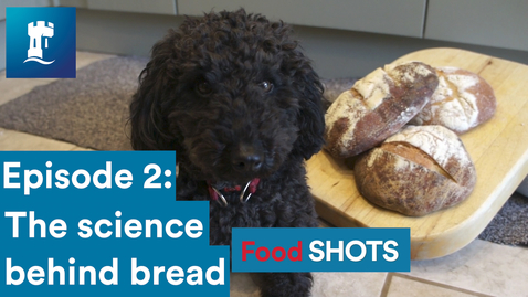 Thumbnail for entry FoodSHOTS Episode 2: Bread (Sourdough)