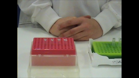 Thumbnail for entry Performing a PCR reaction