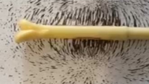 Thumbnail for Pulsed magnetic field therapy: Attraction magnetic field pattern