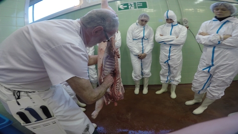 Thumbnail for entry Pig dressing: Splitting the carcass and inspecting the kidneys