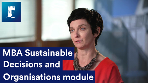 Thumbnail for MBA Sustainable Decisions and Organisations module