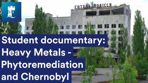 Thumbnail for Plants for Phytoremediation
