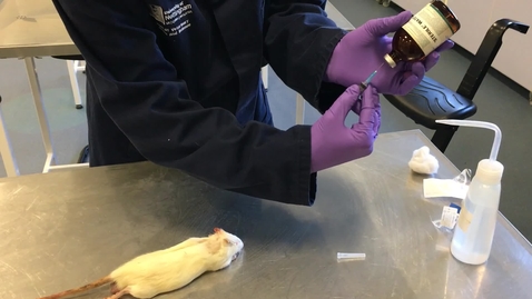 Thumbnail for Administering a subcutaneous injection