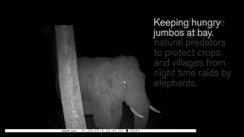 Thumbnail for Keeping hungry jumbos at bay