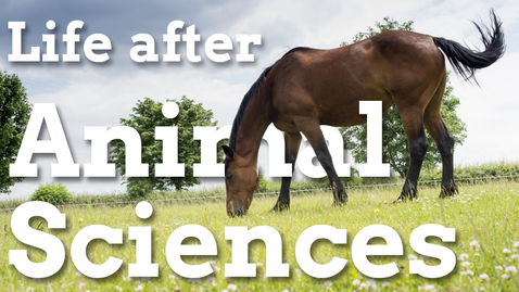 Thumbnail for From animal science degree to project management