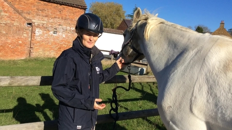 Thumbnail for Respiratory examination in the horse