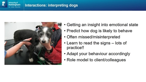 Thumbnail for Animal interactions