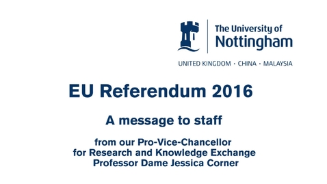 Thumbnail for entry The EU referendum and research – what does this mean for staff?