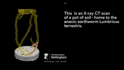 Thumbnail for entry CT scans reveal underground world of the earth worm