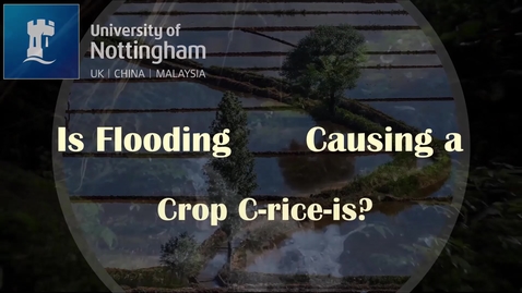 Thumbnail for Flooding Group 2