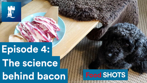 Thumbnail for FoodSHOTS Episode 4: Bacon