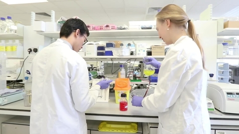 Thumbnail for Medical Physiology and Therapeutics BSc
