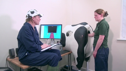 Thumbnail for Role-play using the Haptic Cow