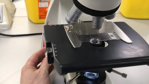 Thumbnail for Setting up a microscope for oil immersion