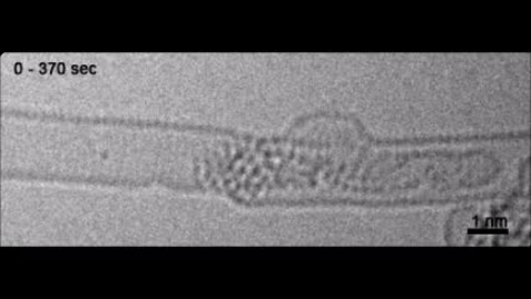 Thumbnail for Birth of a crystal filmed in atomic resolution (Gold)