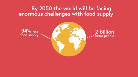 Thumbnail for How can we deliver a healthy, sustainable, carbon-neutral UK food supply? - animation