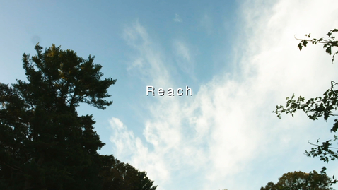 Thumbnail for REACH - Dance in the Arbo (Lisa Race)