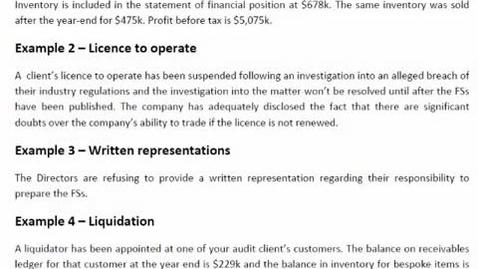 Thumbnail for Audit Report Examples